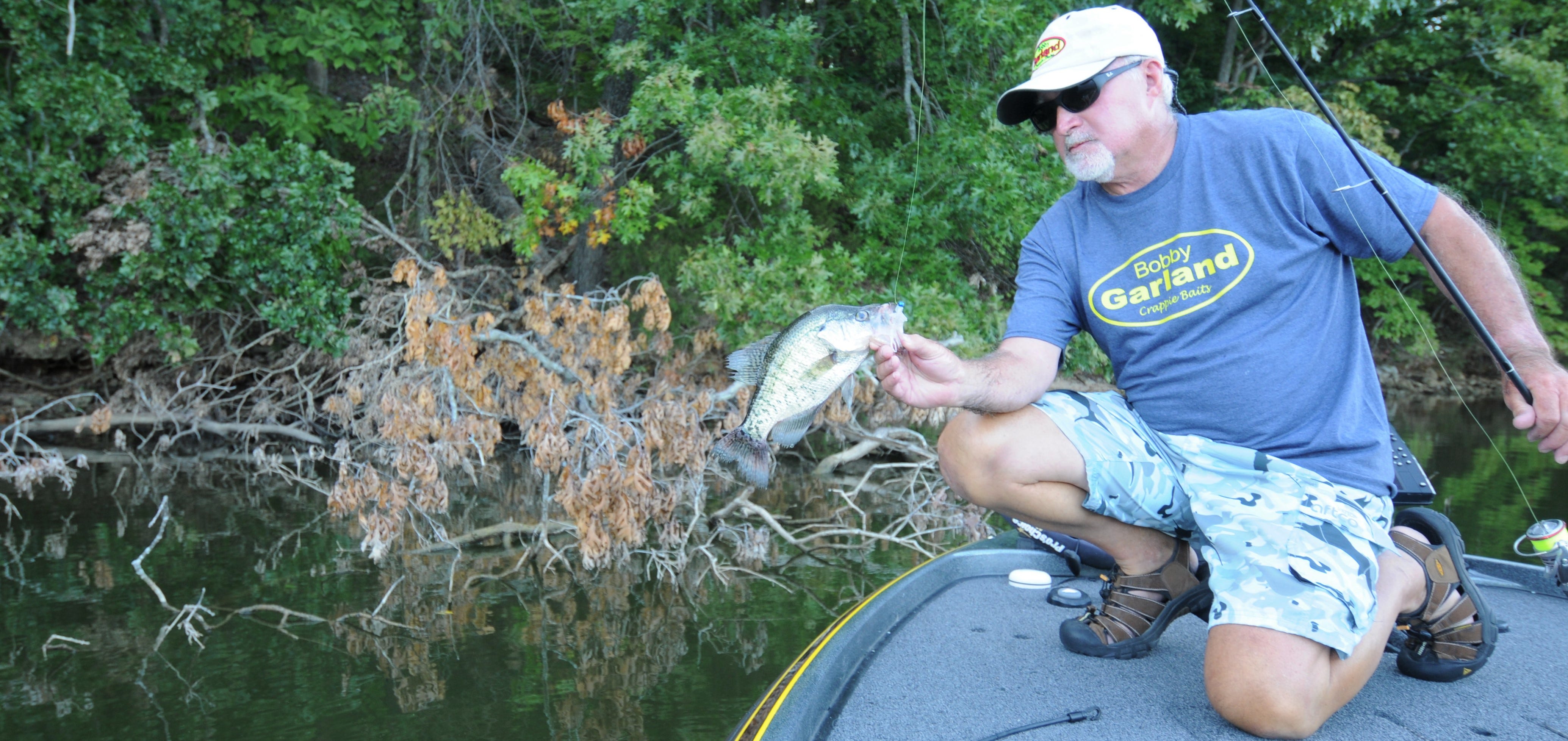 crappie from a laydown