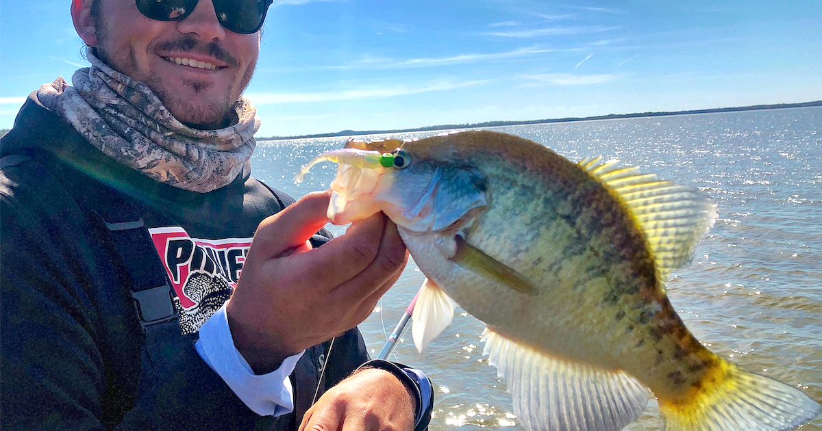 Dustin McDaniel with Crappie