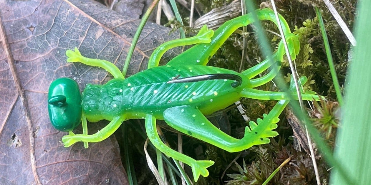 Rebel LIVEflex Hopper