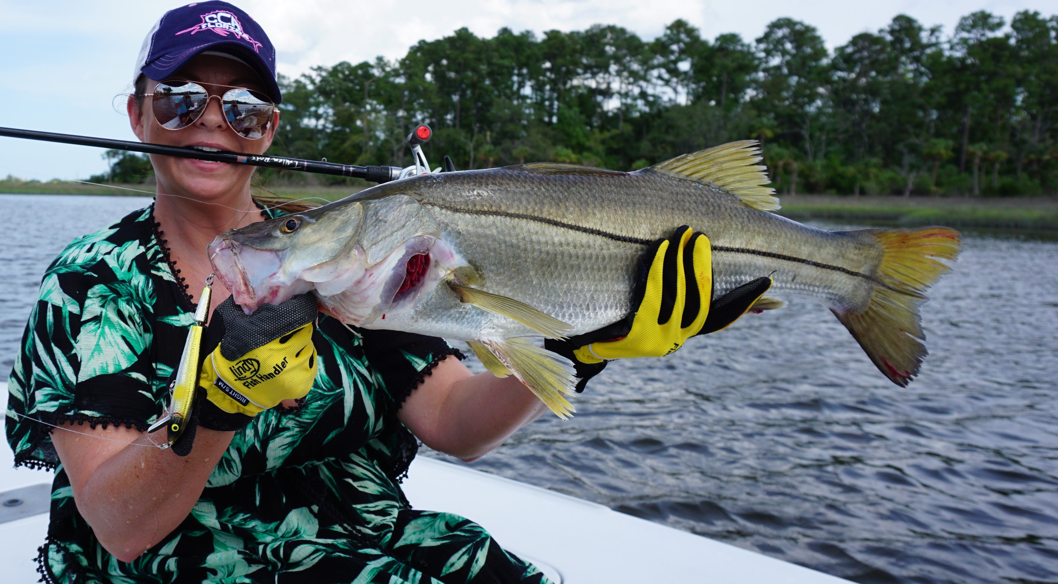 snook catch