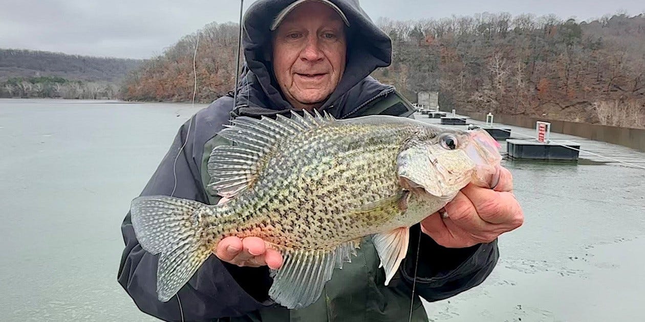 Winter black crappie