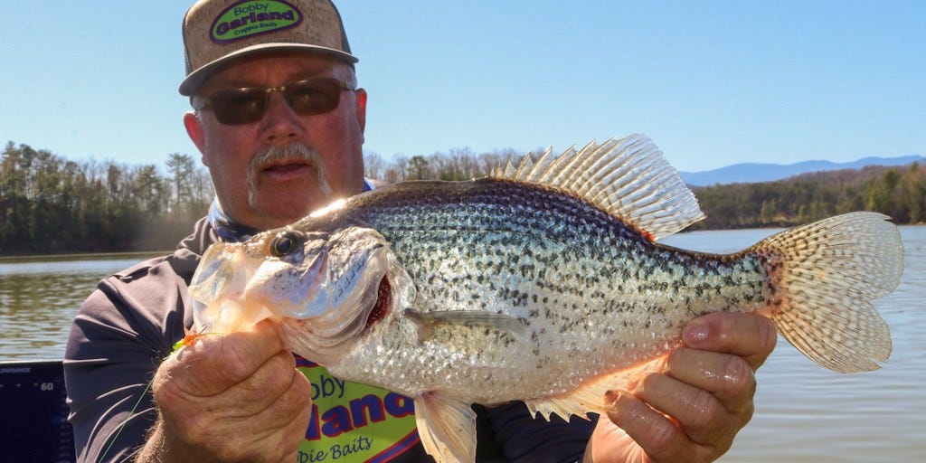 spring crappie