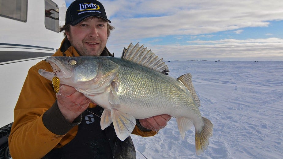 ice fishing walleye catch