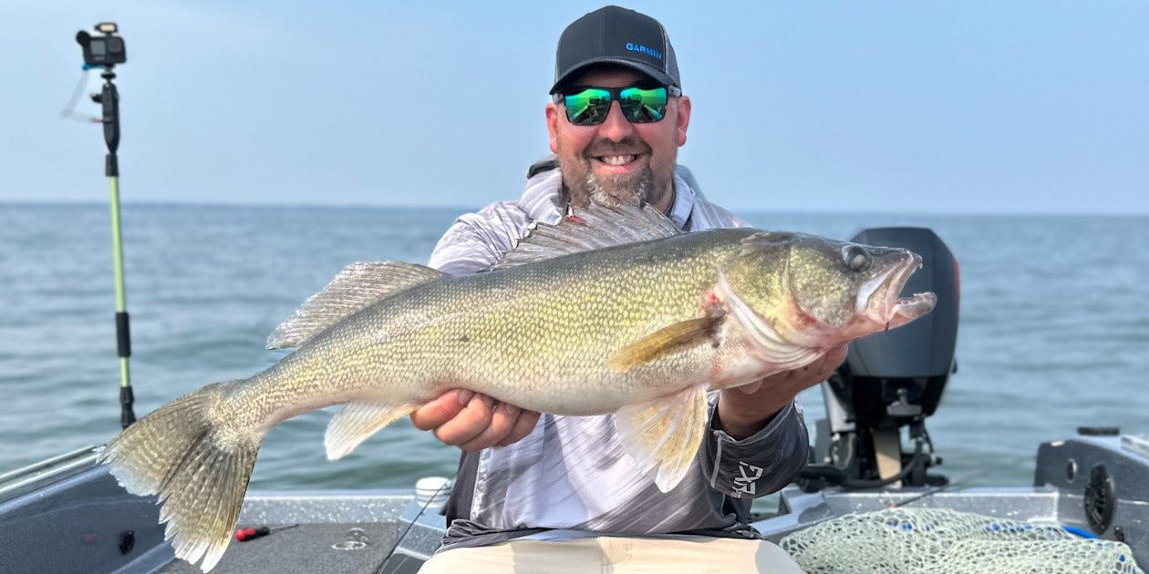 big tournament walleye catch