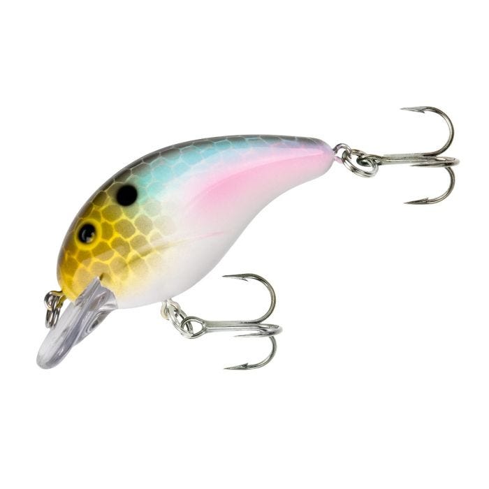 Baby Shad Bandit 100