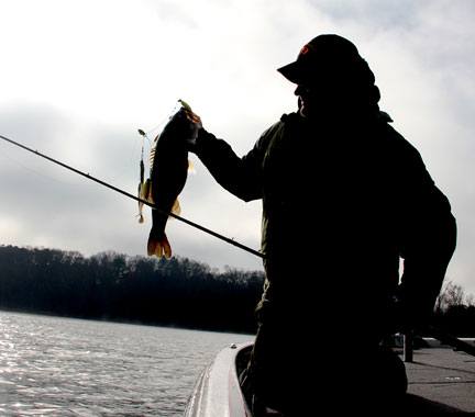 Alabama Rig frenzy continues despite BASS ban 