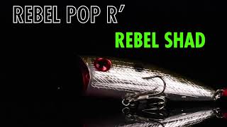 Pop R Custom Rebel Shad