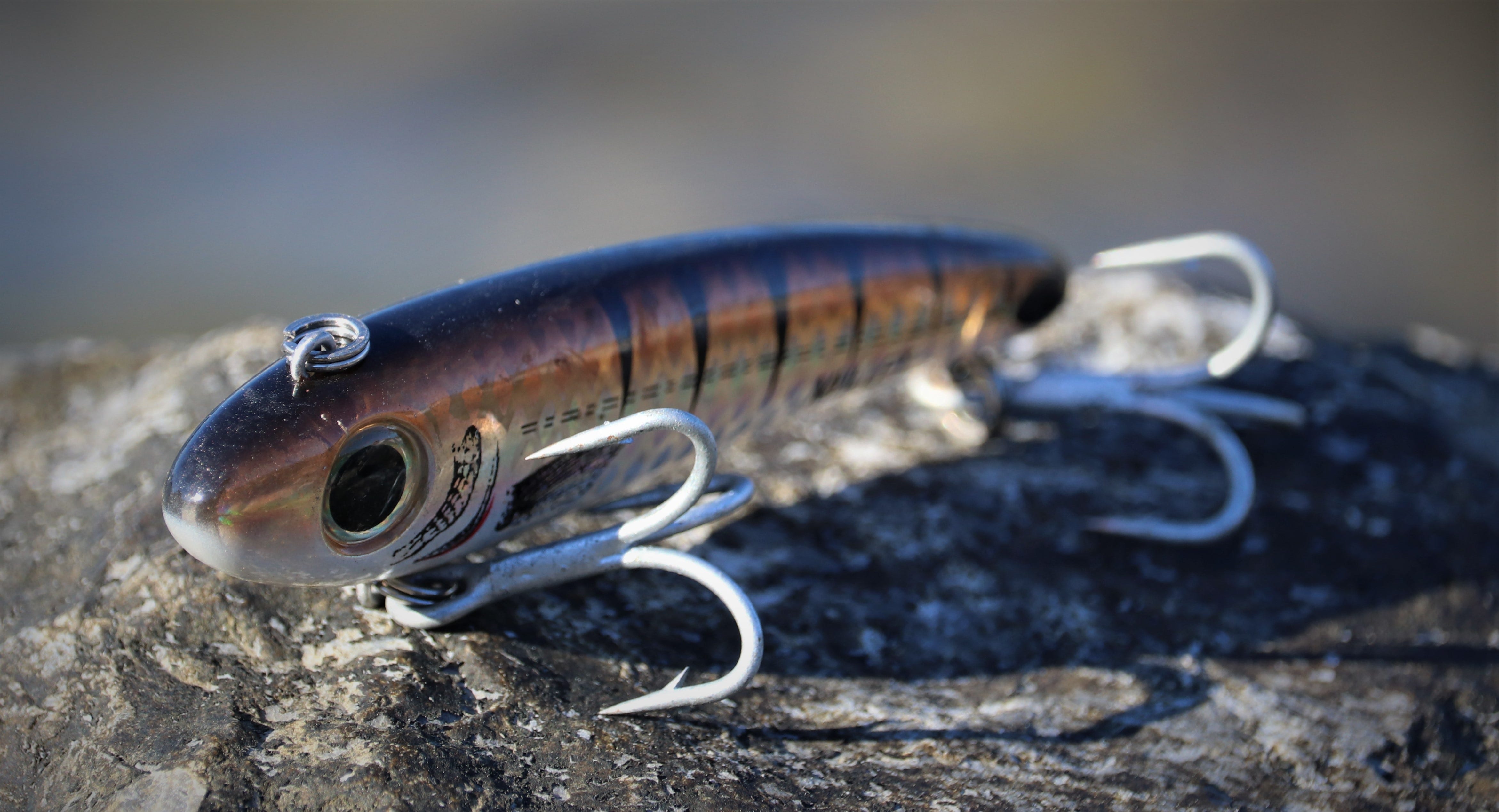 Top to Bottom for Redfish & Trout