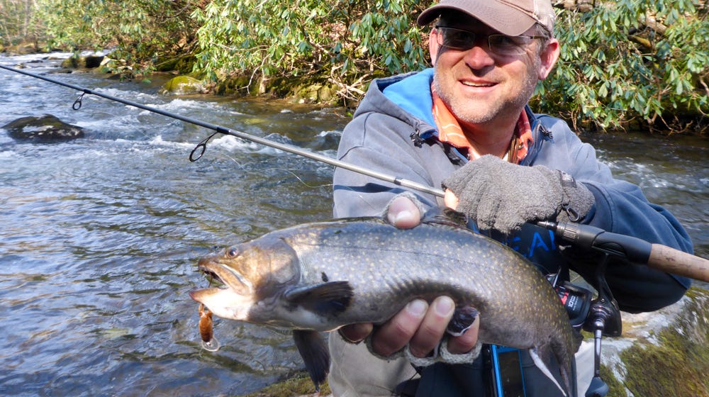 Brook trout catch