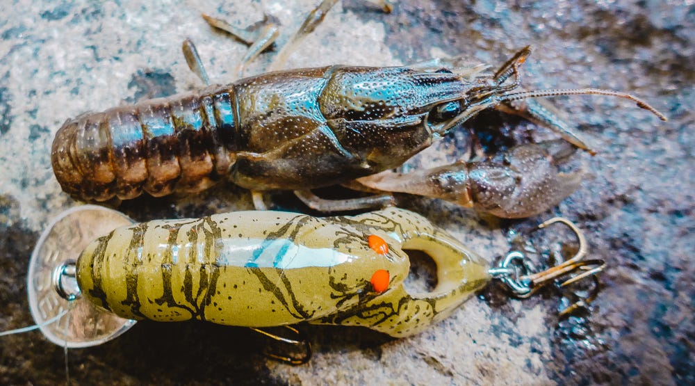 You NEED These Lures, Top 5 Trout Lures