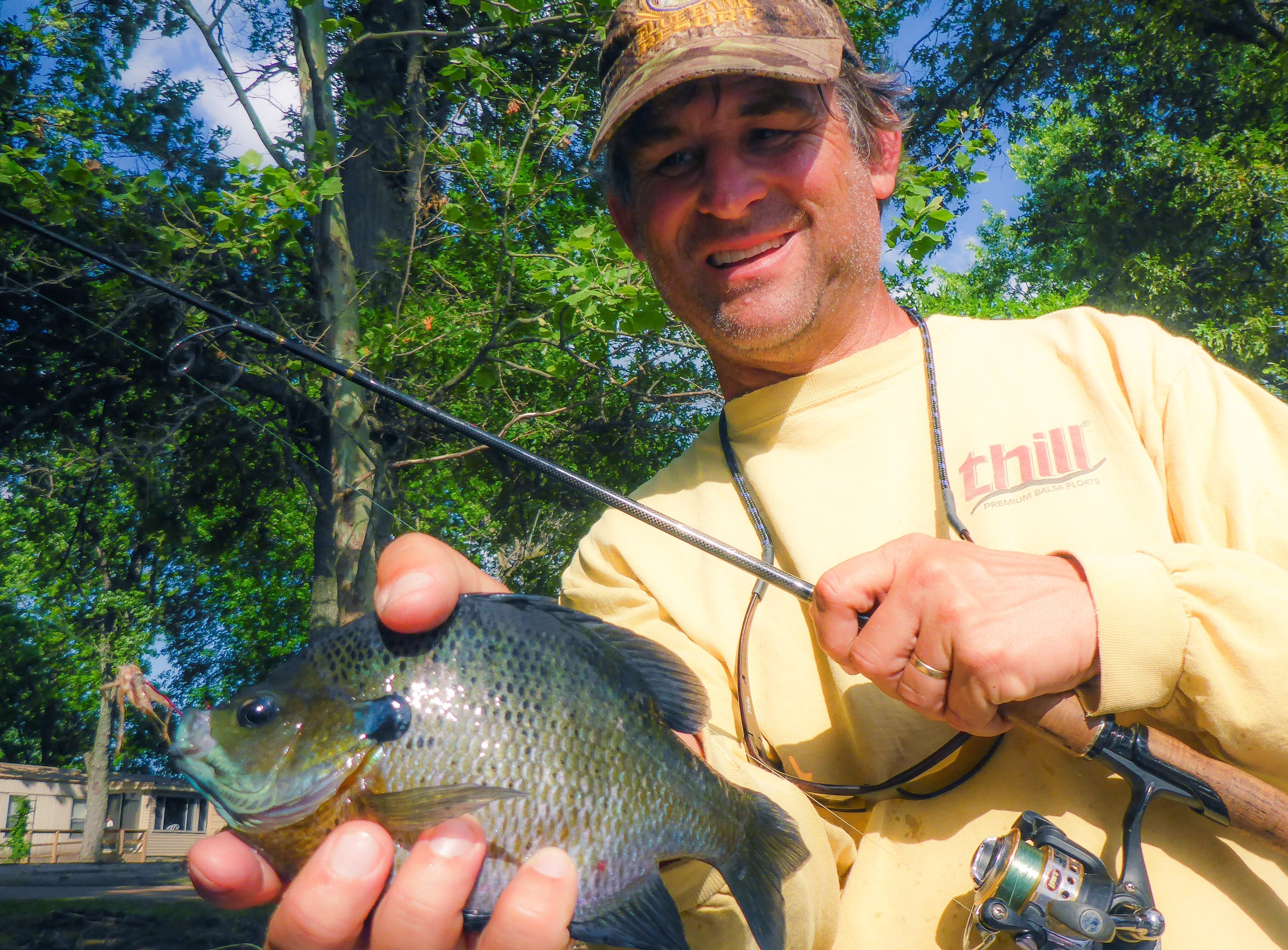 bluegill on cricket