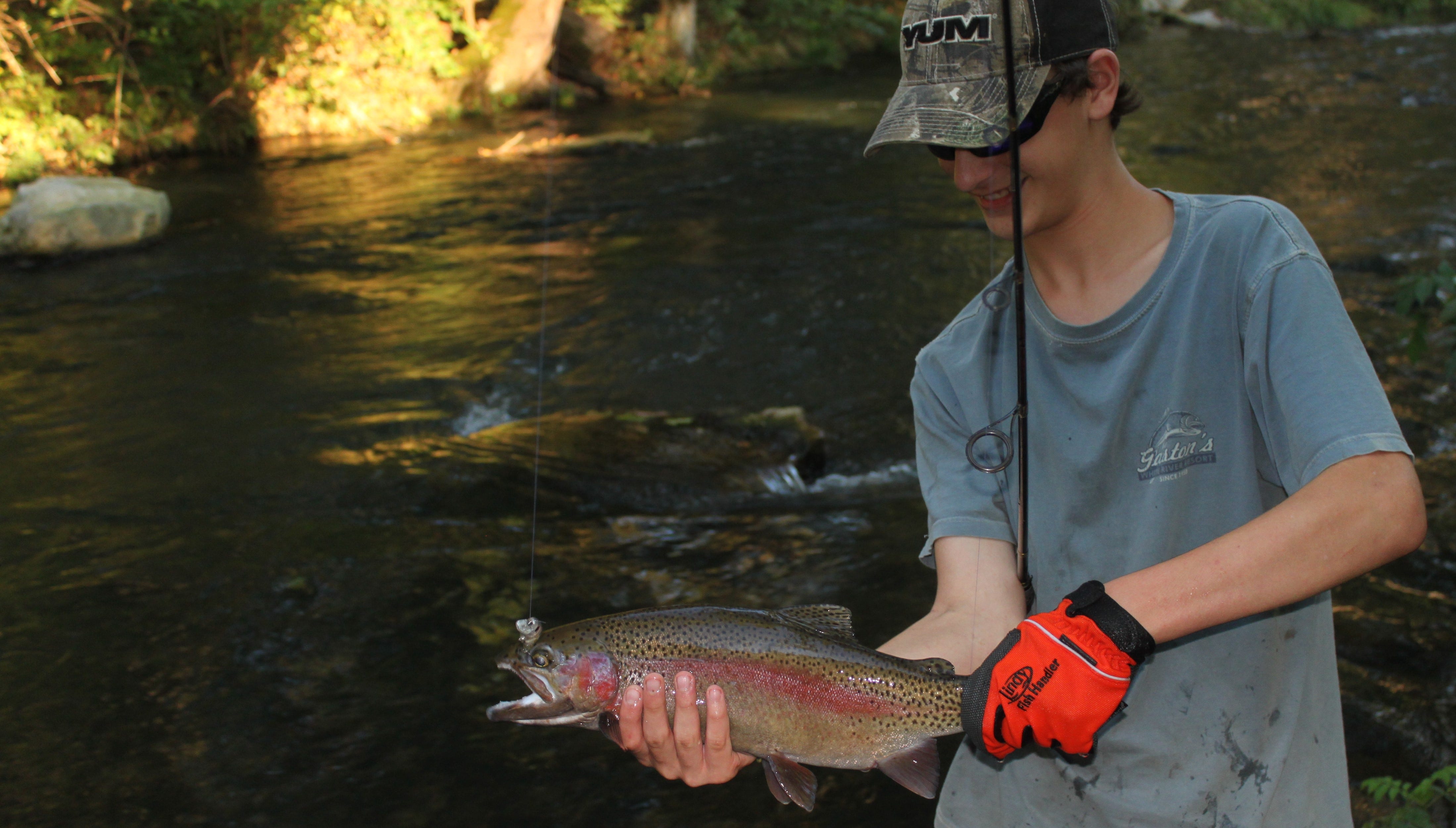 jerkbait rainbow trout